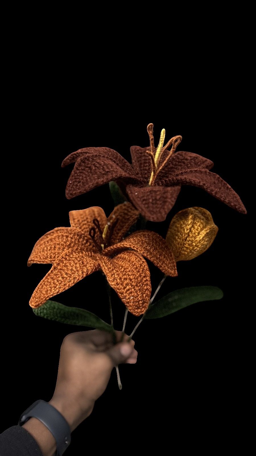 Tiger lily · single stem · photographed in morning light.